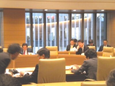 税と社会保障の抜本改革調査会で日本モデルの説明